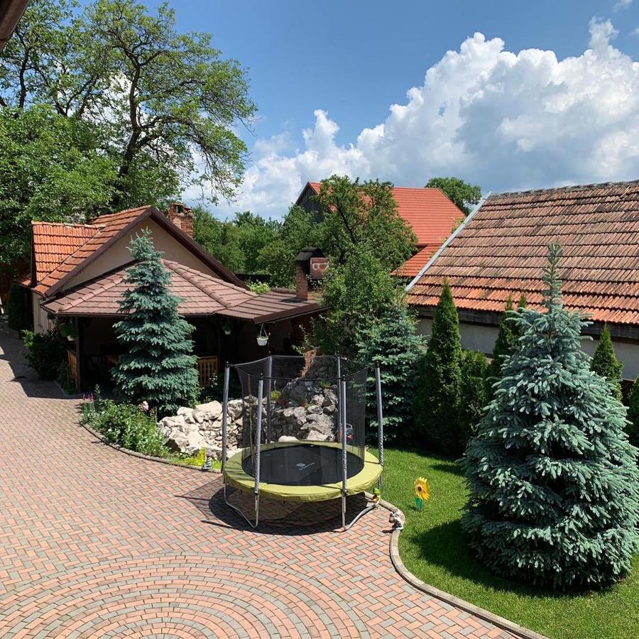 Pensiunea Haiduc Sacele Brasov Екстериор снимка