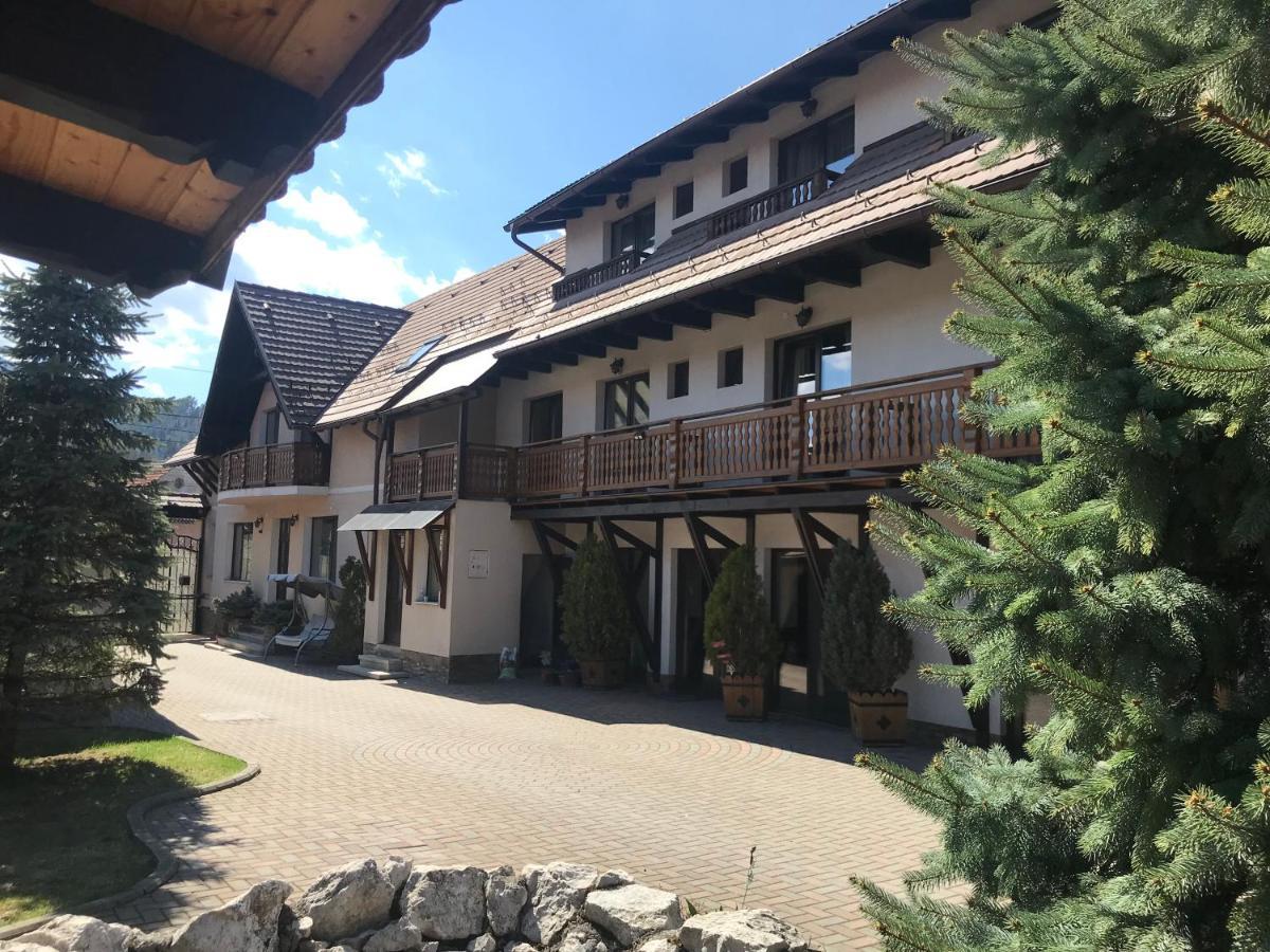 Pensiunea Haiduc Sacele Brasov Екстериор снимка
