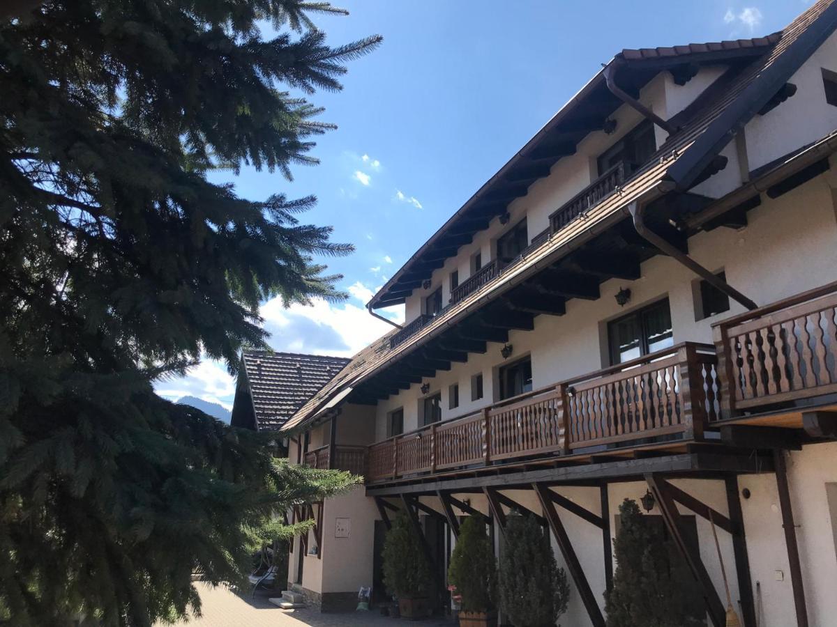 Pensiunea Haiduc Sacele Brasov Екстериор снимка