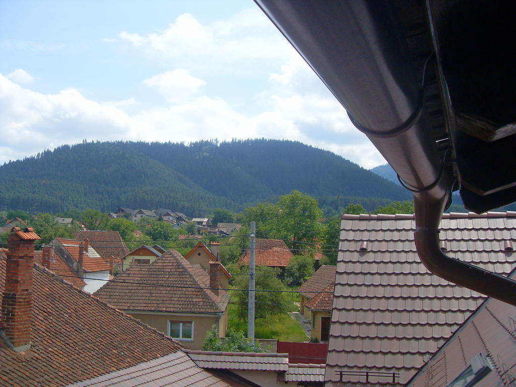 Pensiunea Haiduc Sacele Brasov Екстериор снимка