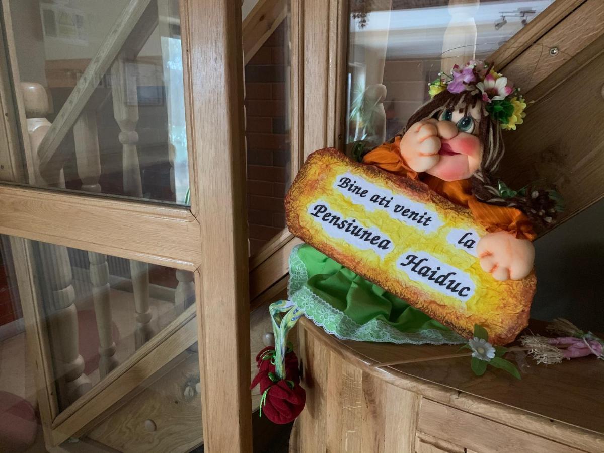 Pensiunea Haiduc Sacele Brasov Екстериор снимка