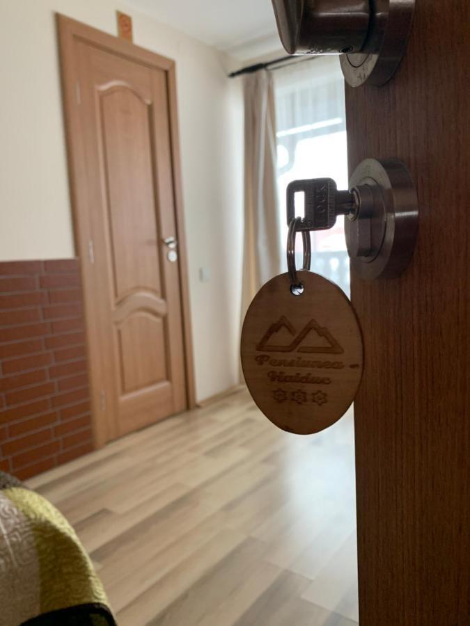 Pensiunea Haiduc Sacele Brasov Екстериор снимка